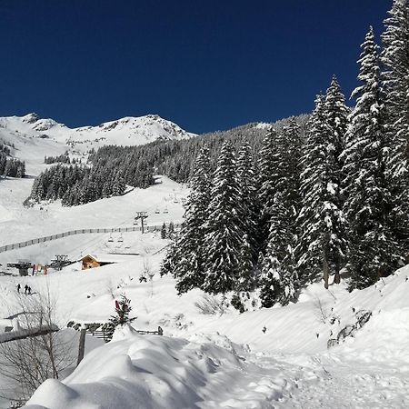 Superbe Studio Aux 7 Laux La Ferriere  ภายนอก รูปภาพ