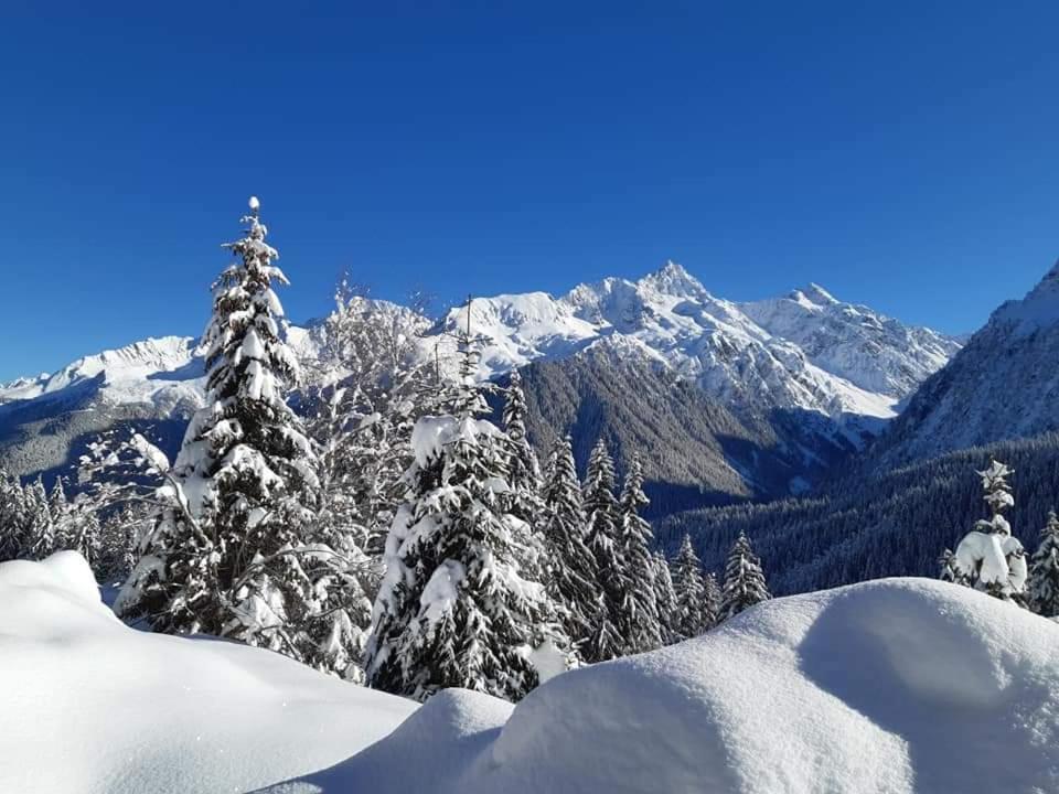 Superbe Studio Aux 7 Laux La Ferriere  ภายนอก รูปภาพ