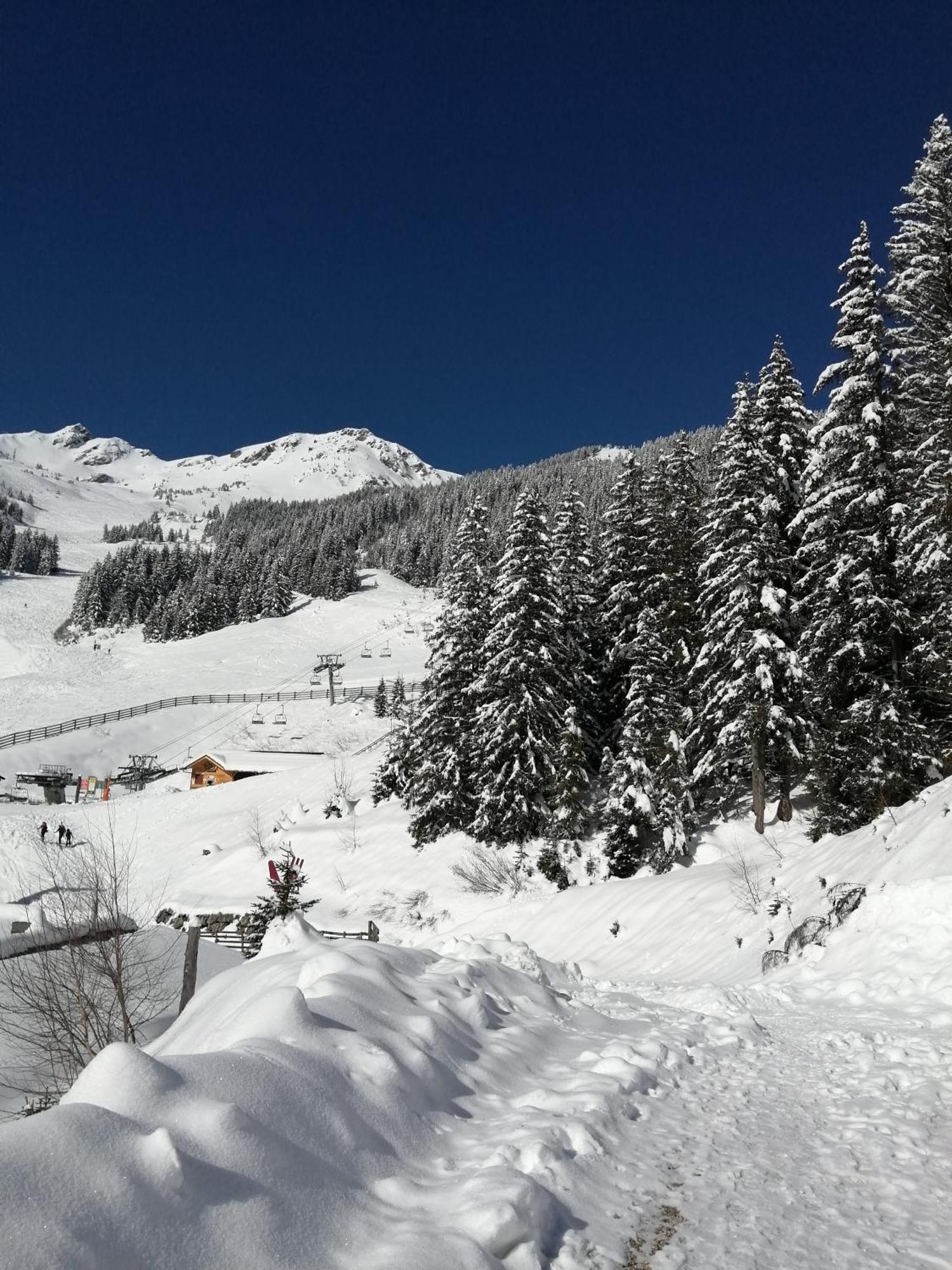 Superbe Studio Aux 7 Laux La Ferriere  ภายนอก รูปภาพ