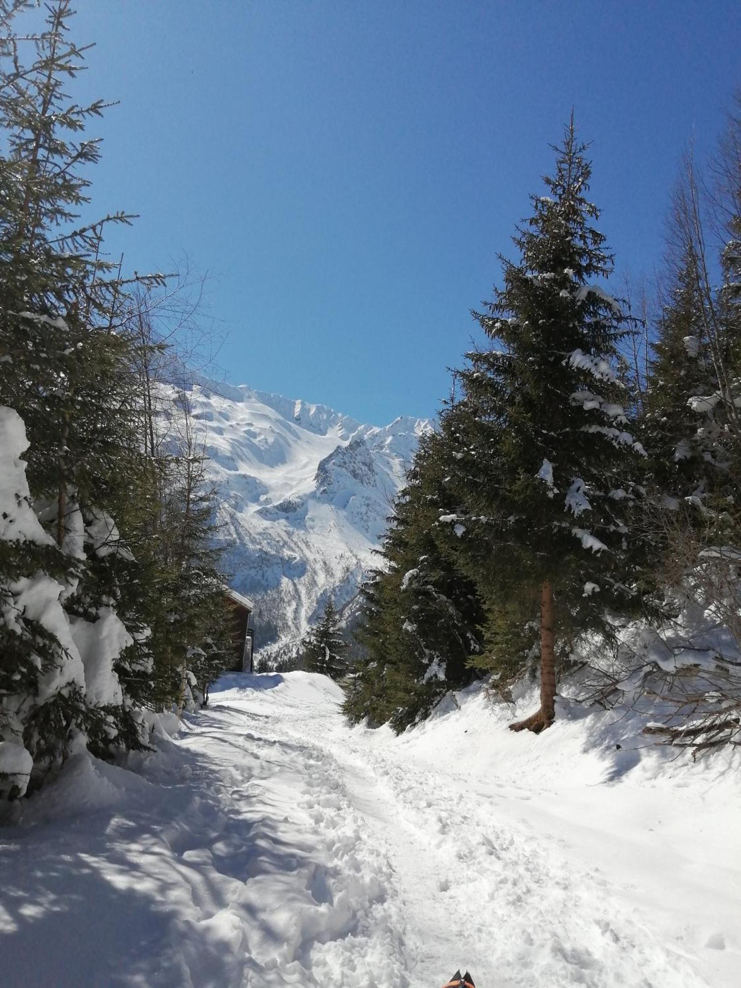 Superbe Studio Aux 7 Laux La Ferriere  ภายนอก รูปภาพ